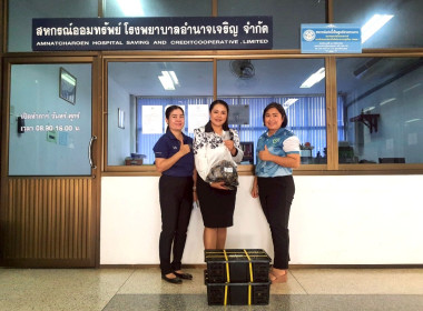 กระจายผลไม้ “มังคุด” พารามิเตอร์รูปภาพ 6